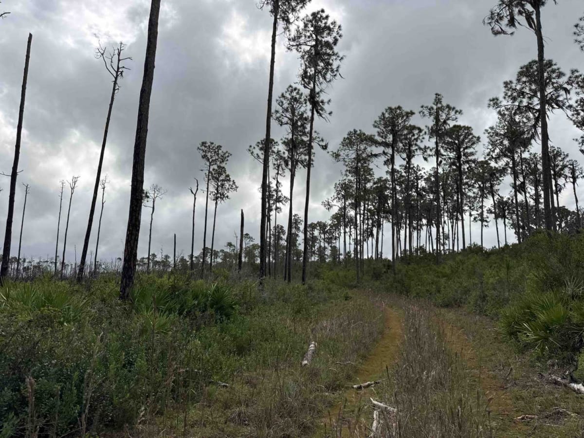 Burnt Island Loop photo 6