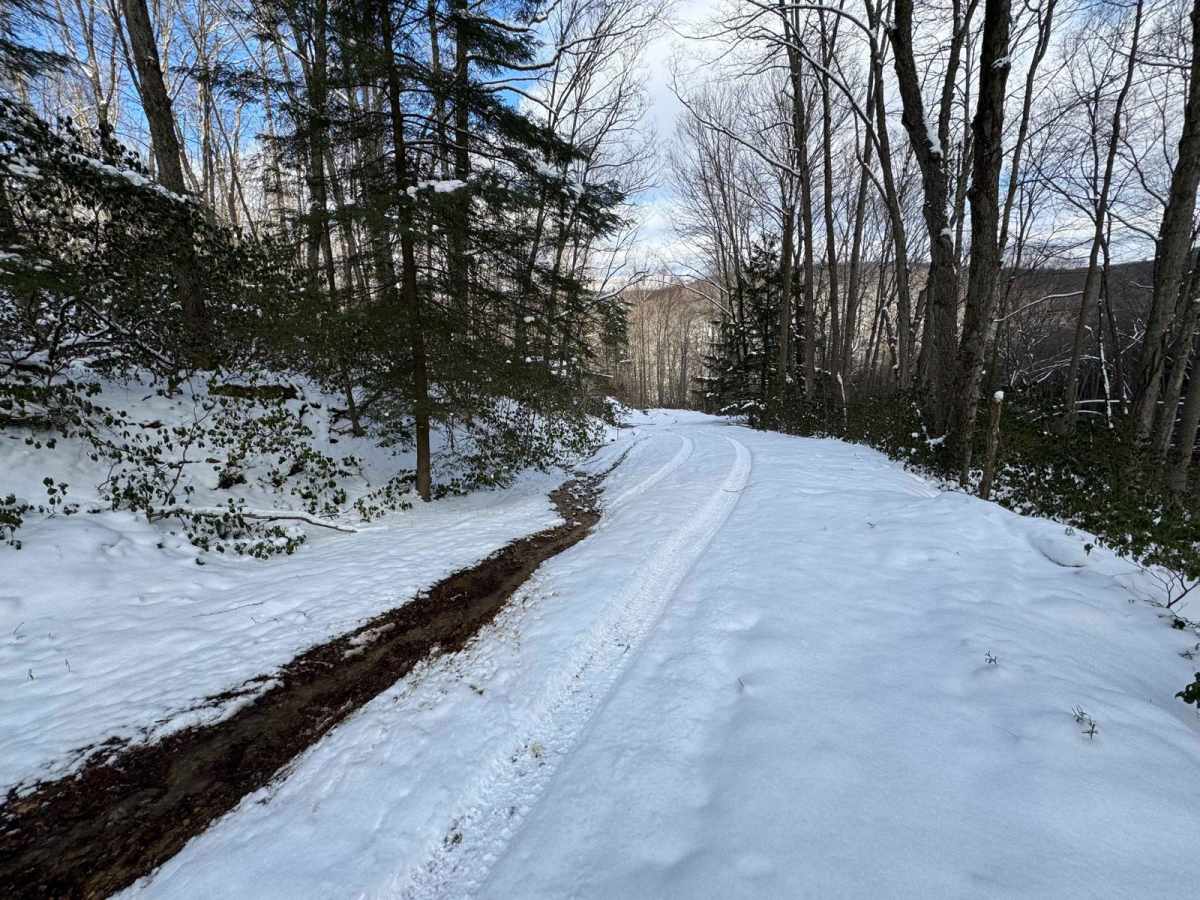 Sullivan Road photo 3