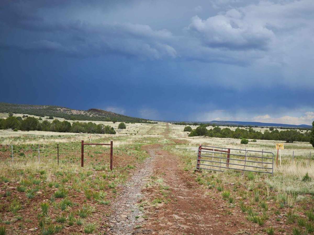 Pipeline Road 796 photo 5