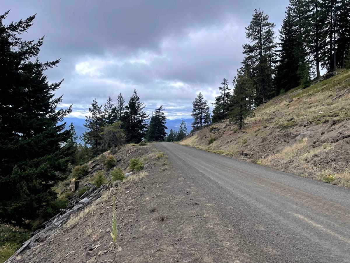 Gold Creek Trail photo 5