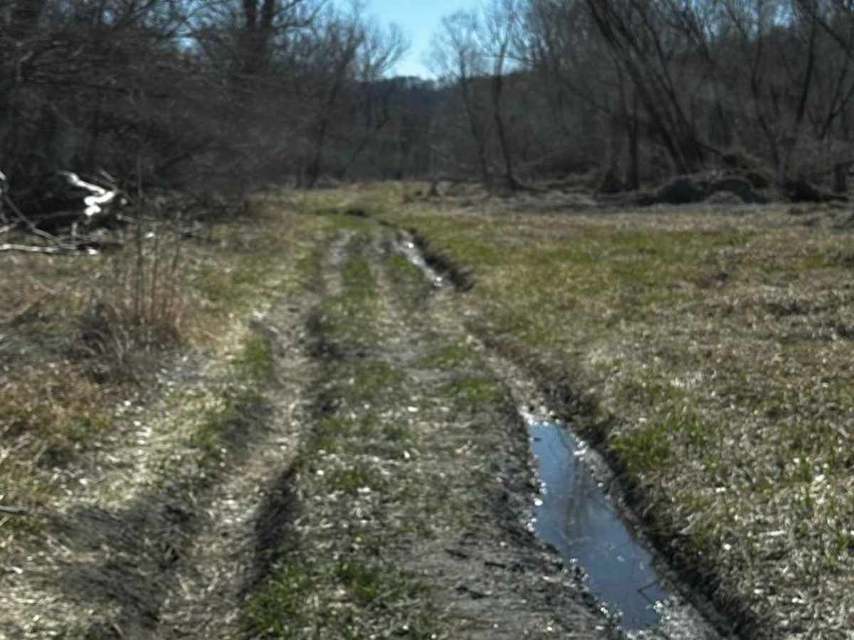 Riverside Dirt Trail - 735A Road photo 3