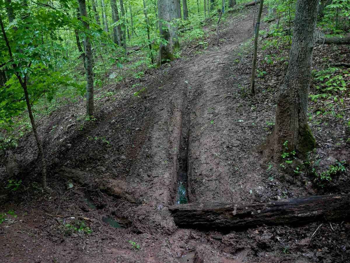 T49 trail photo