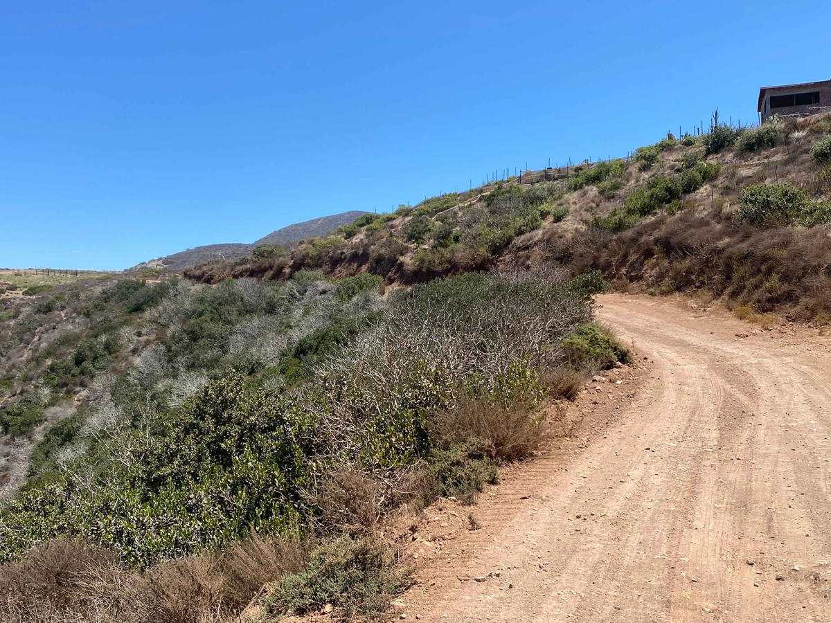 Rancho Estela Low Road photo 5