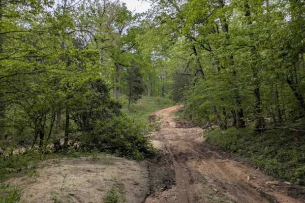 Sandy Flats