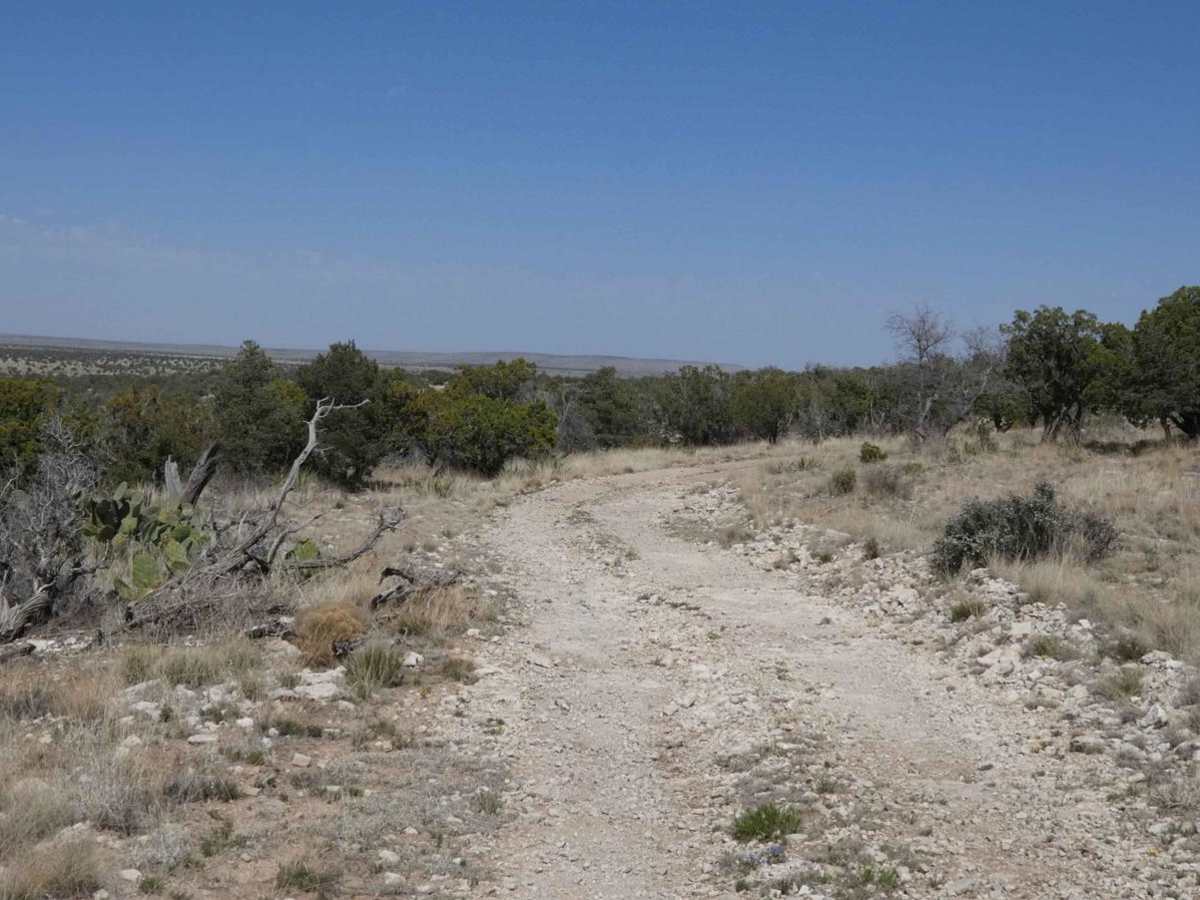 Rawhide photo 5