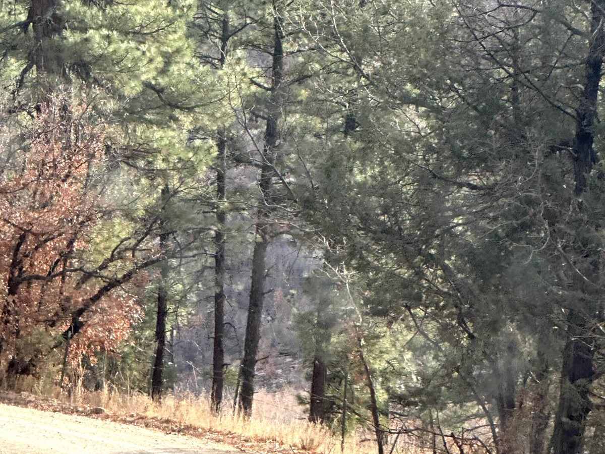 Fourth of July Campground photo 3
