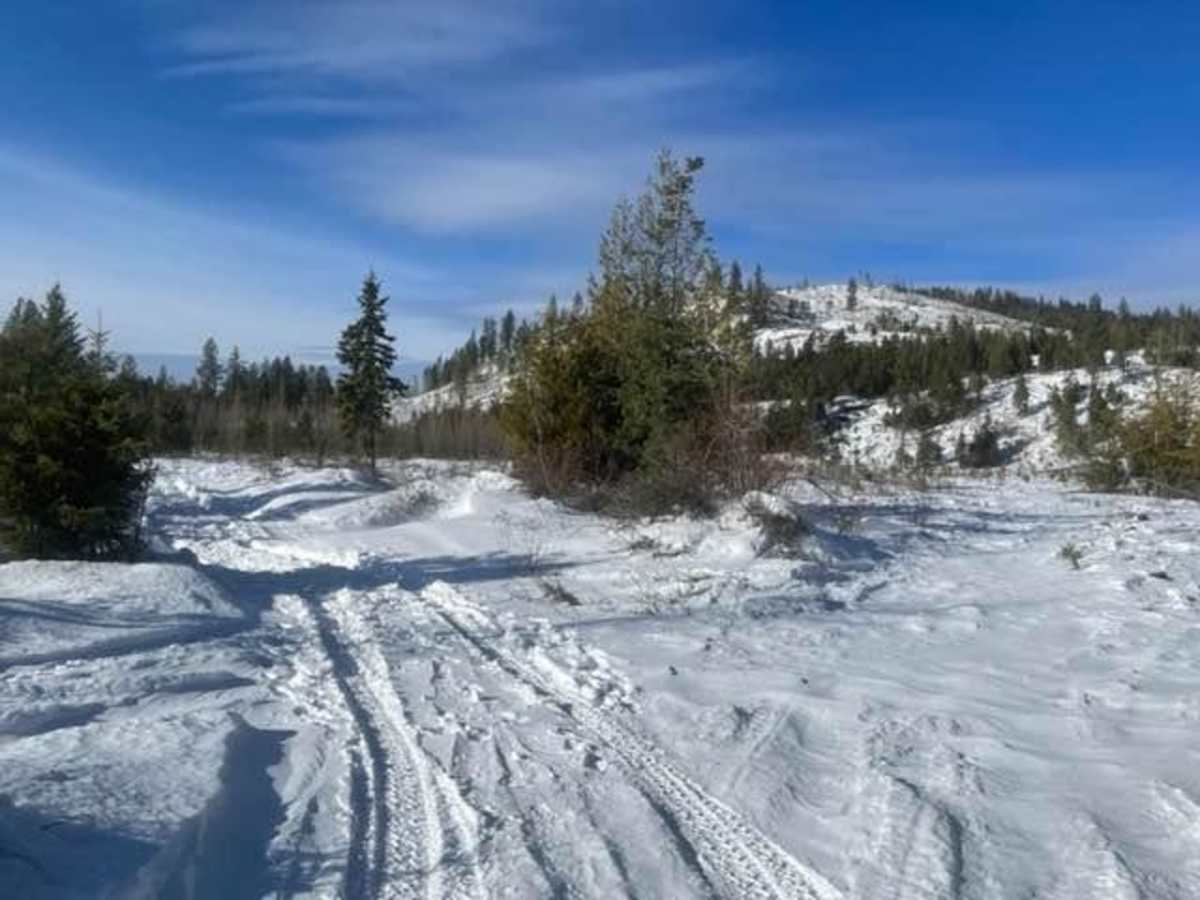 LM 2697 trail photo
