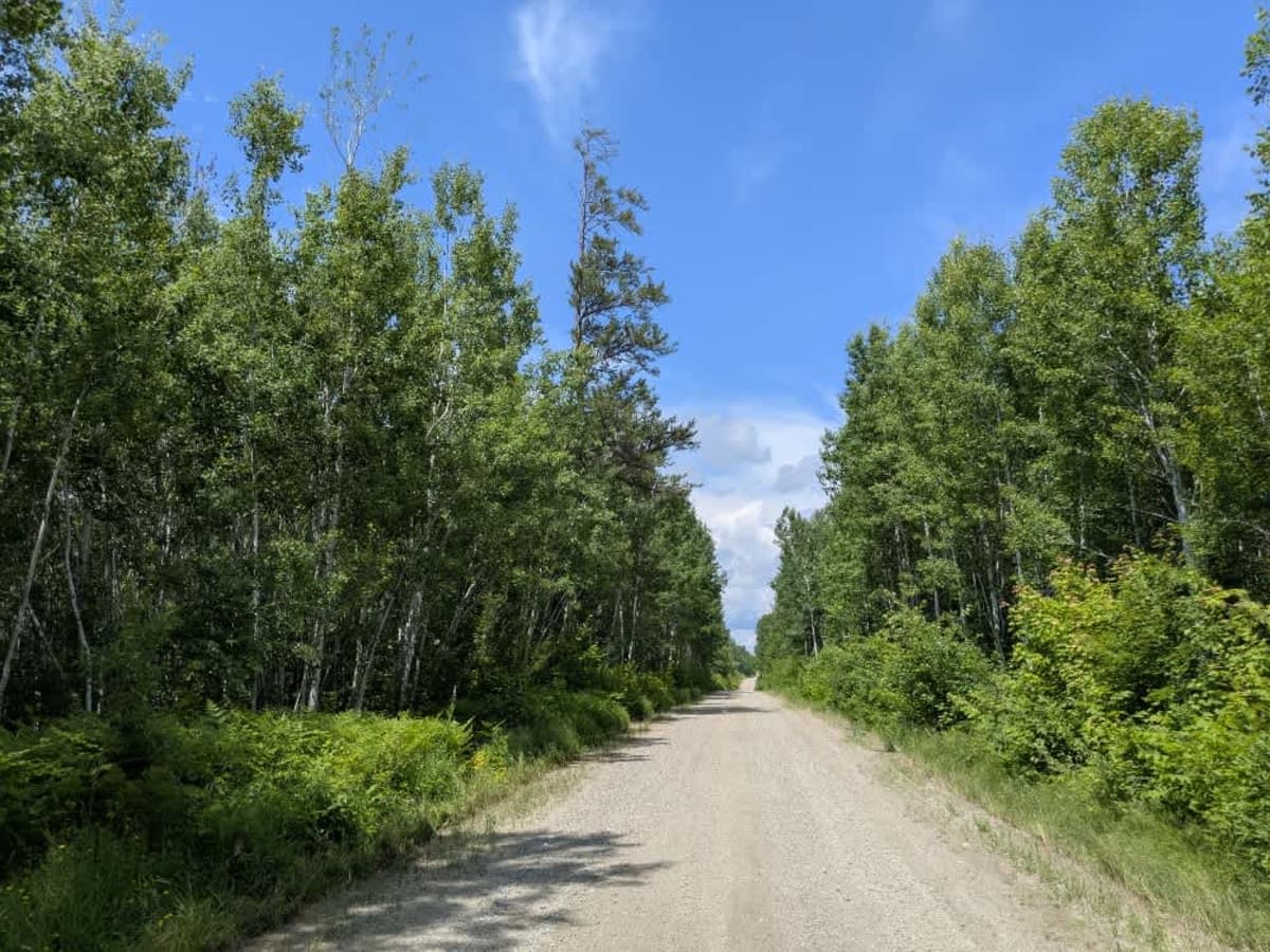 Brown Road trail photo