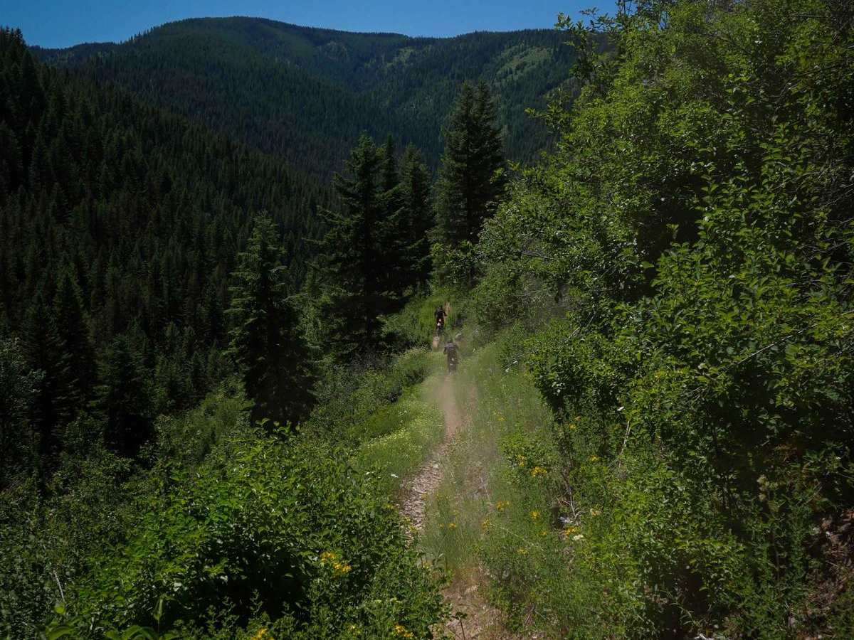 Telichpah Creek NRT trail photo