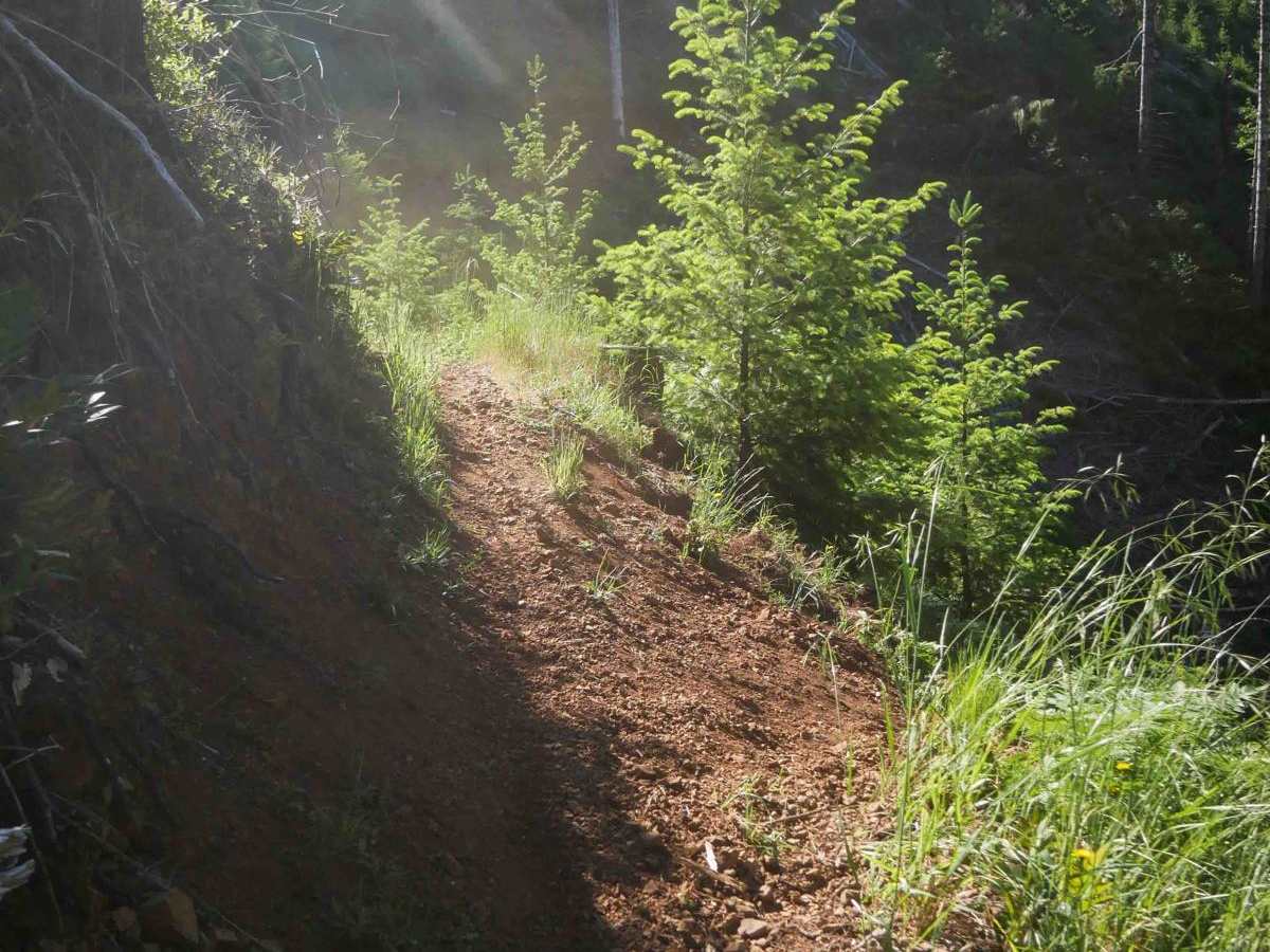 Odin's Ridge #72 photo 6