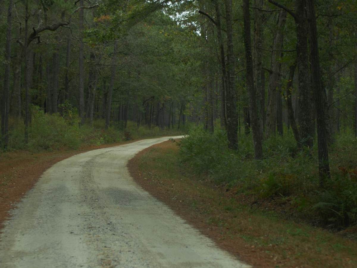 Donnelly WMA PT.2 photo 3