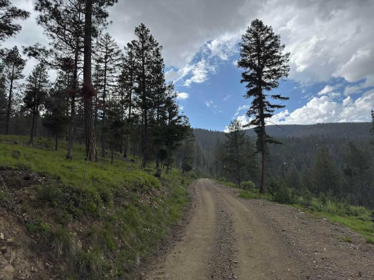 Trapper Peak photo 4