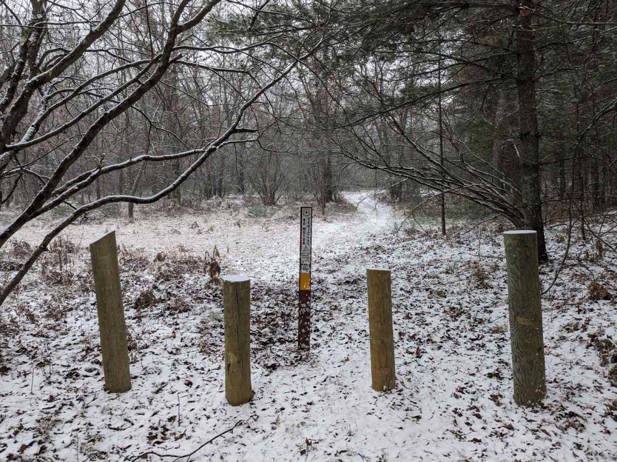 Forest Road 5043 photo 5