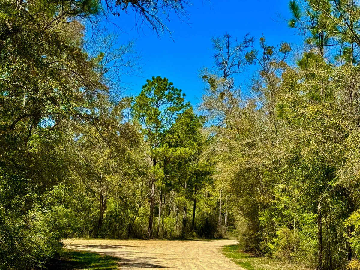 Turkey Flat Road photo 4