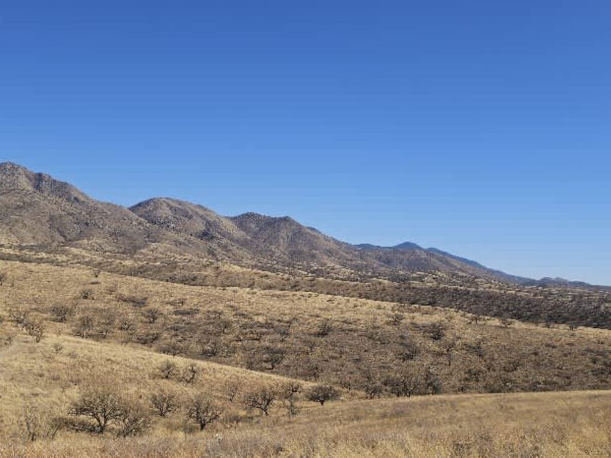 Grande Forest Road trail photo