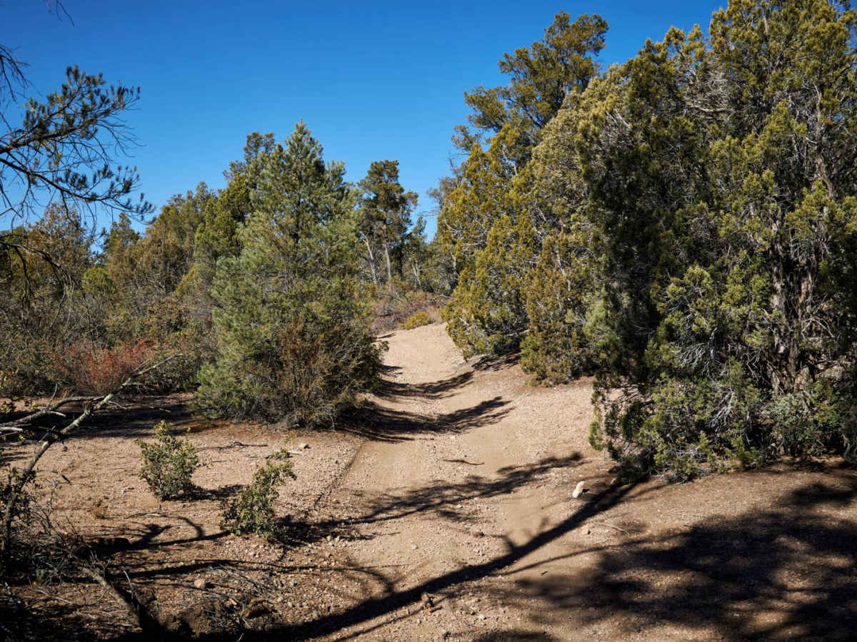Brushy Basin photo 3