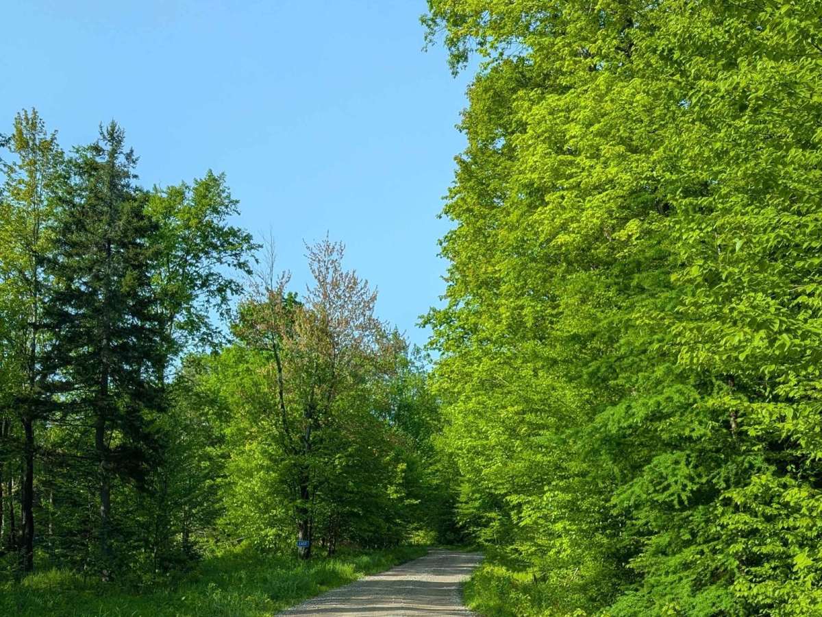 Long Pond Road photo 2