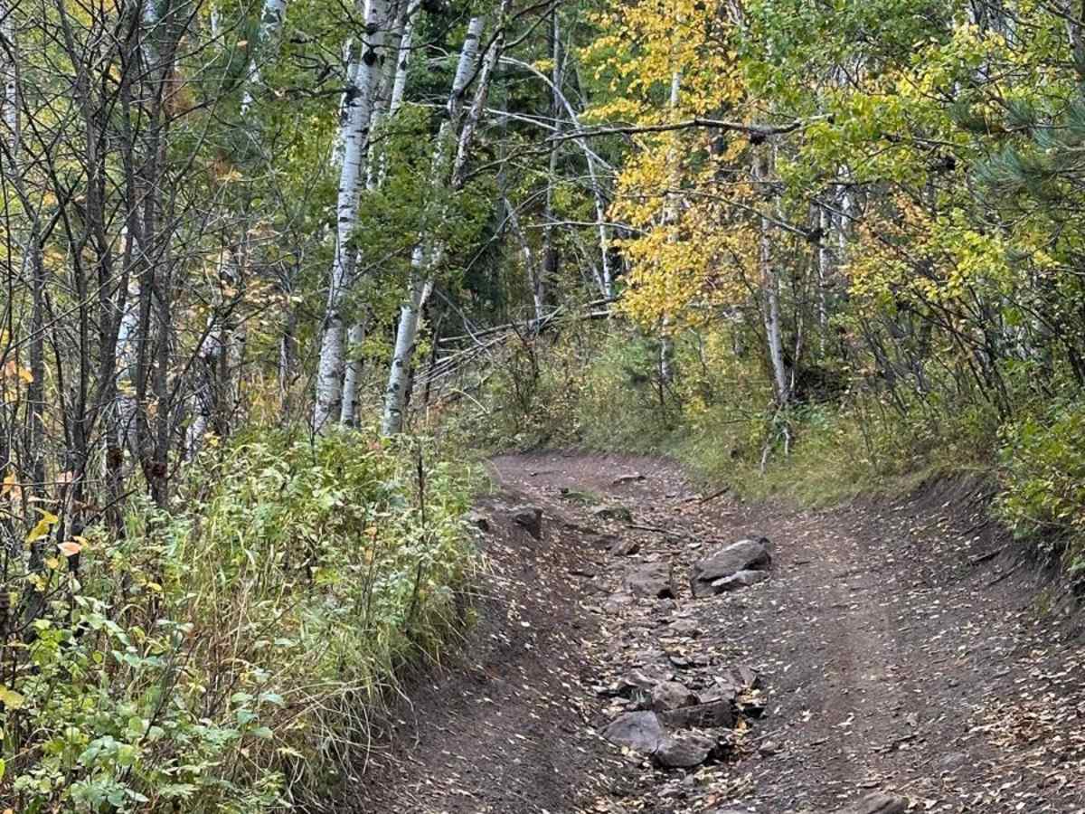 Pony Gulch, Divide, & Bloody Gulch (FS 184.1) photo 4