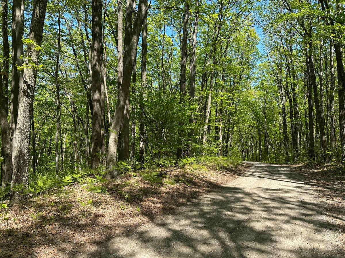 Udell Fire Tower- FS 5207 photo 4