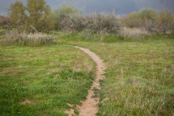 Camp Creek Access Single Track