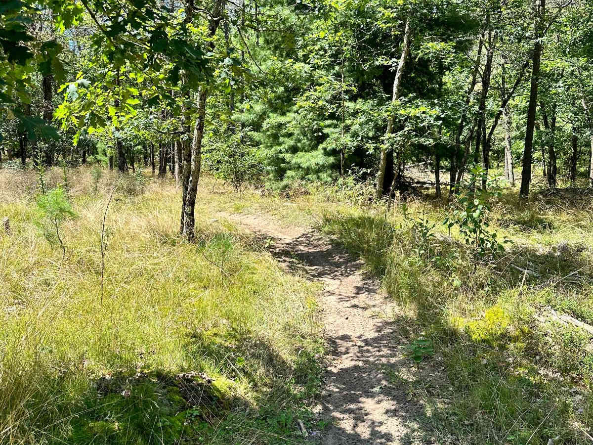 Big O - East Motorcycle Trail photo 5