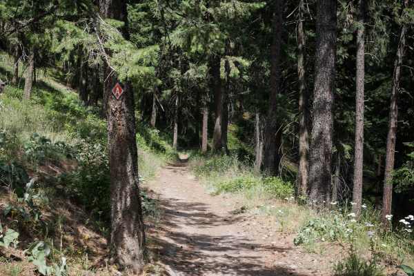 Canfield Mountain - Trail A (West)