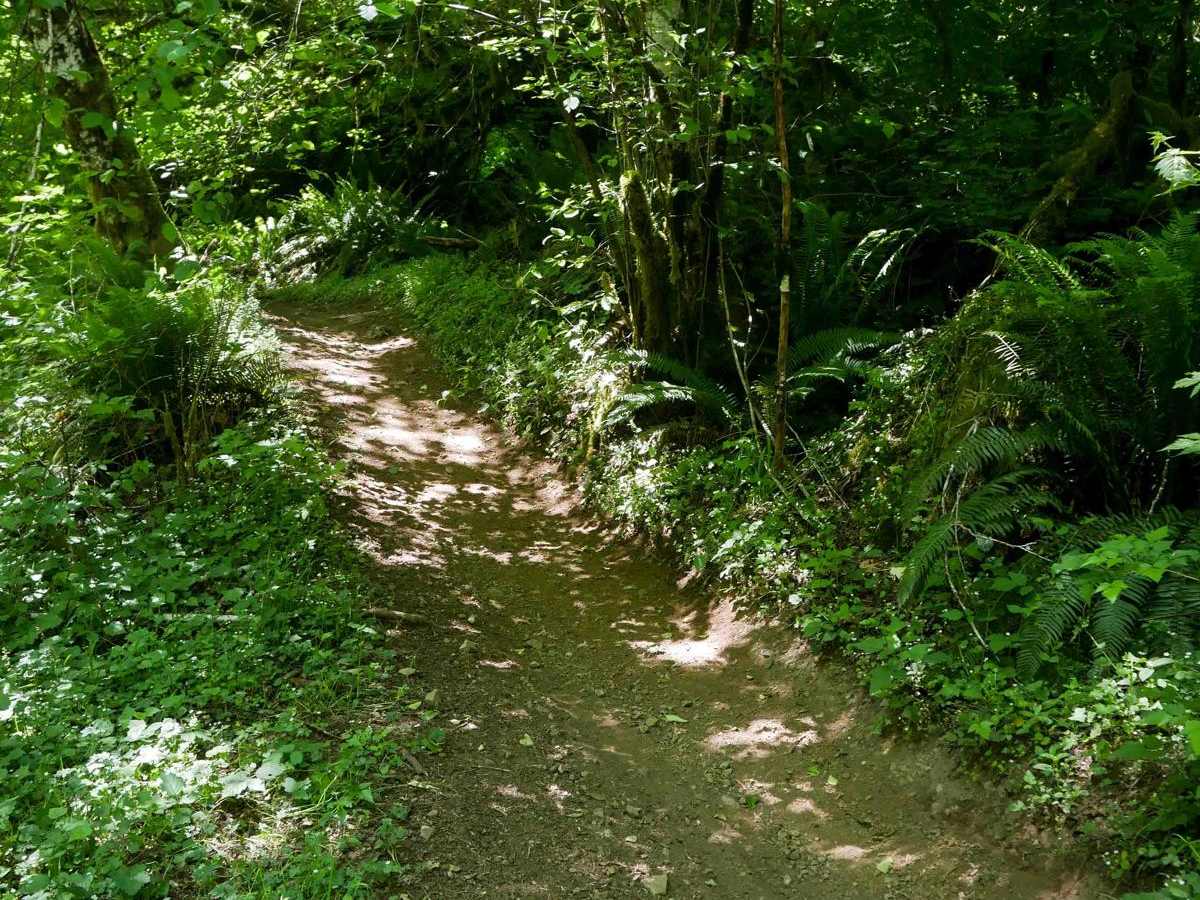 Jordan Creek #84 (Part 3) photo 5
