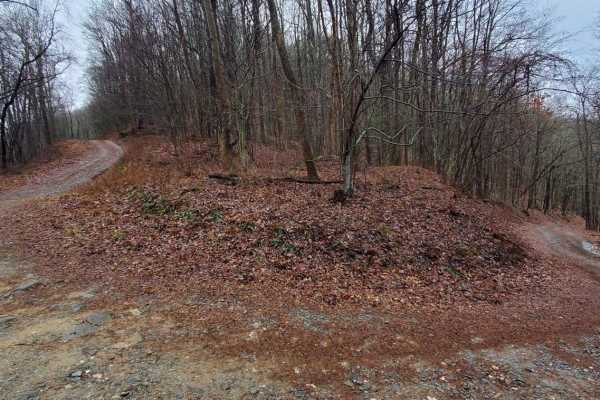 Stanley Gap - FSR 338