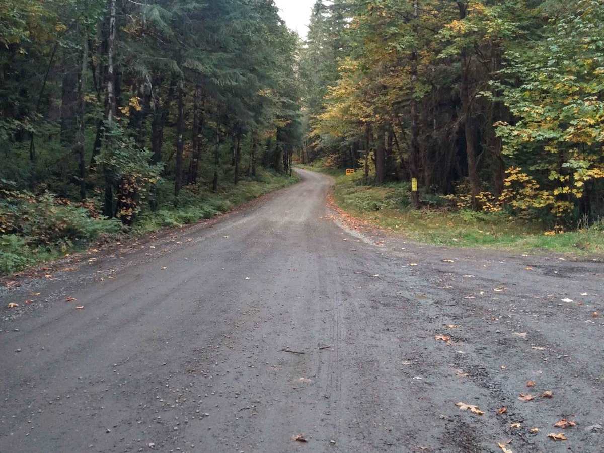 Soda Fork - 2041 trail photo