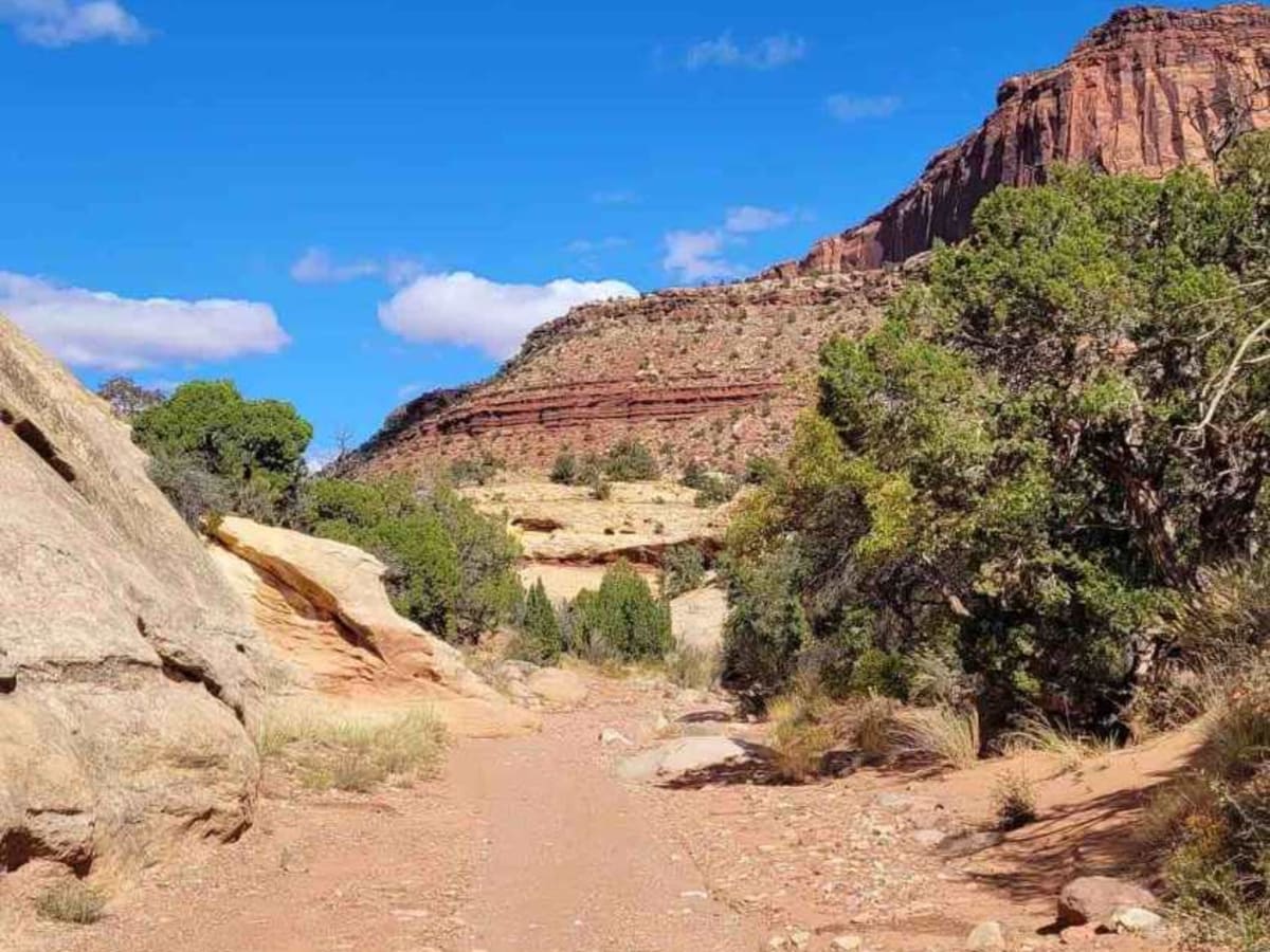 Lavender Canyon Road - North trail photo