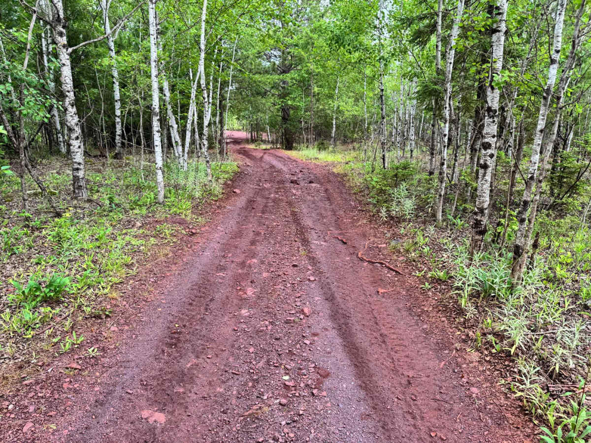 Pinestraw photo 5