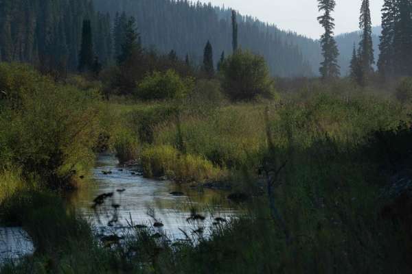 Teepee Creek -6310