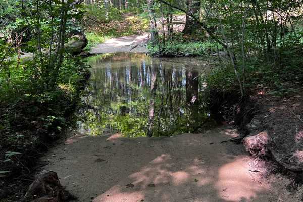 Heart Creek Trail