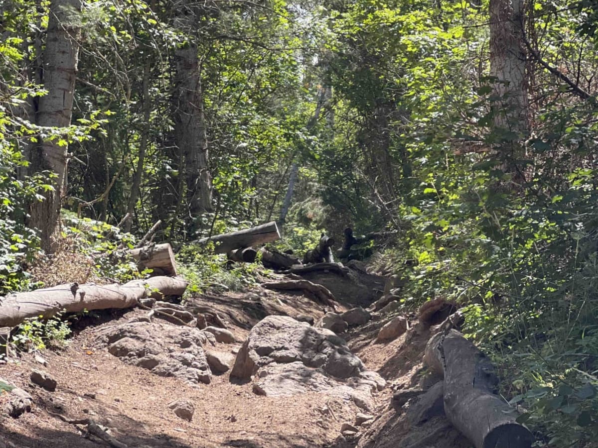 Mud Springs (2173) photo 6
