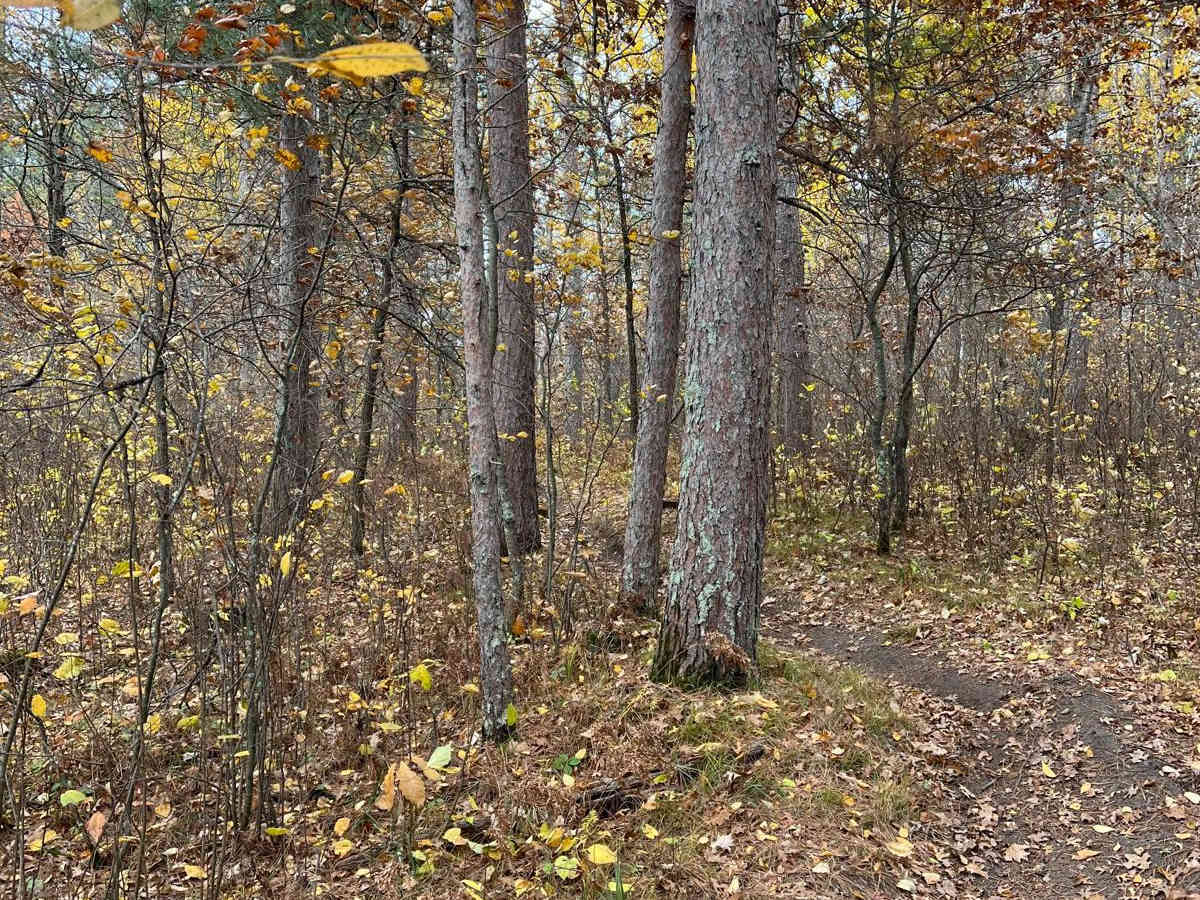Finn Lake Loop photo 5