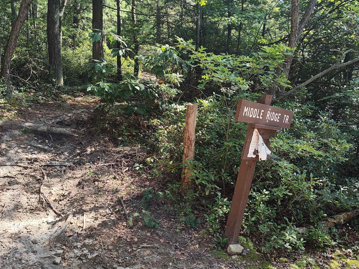 Middle Ridge Trail - Single Track photo 2