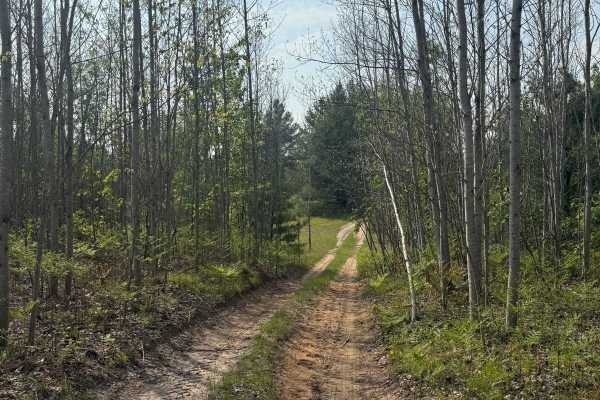 39-1/4 Trail