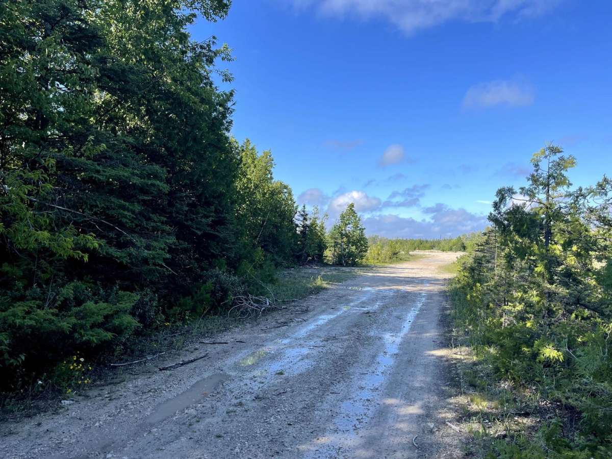 Gamble Lake Trail trail photo