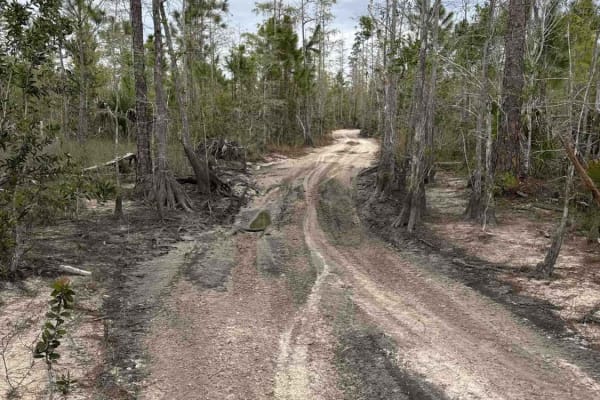 Shortcut Trail