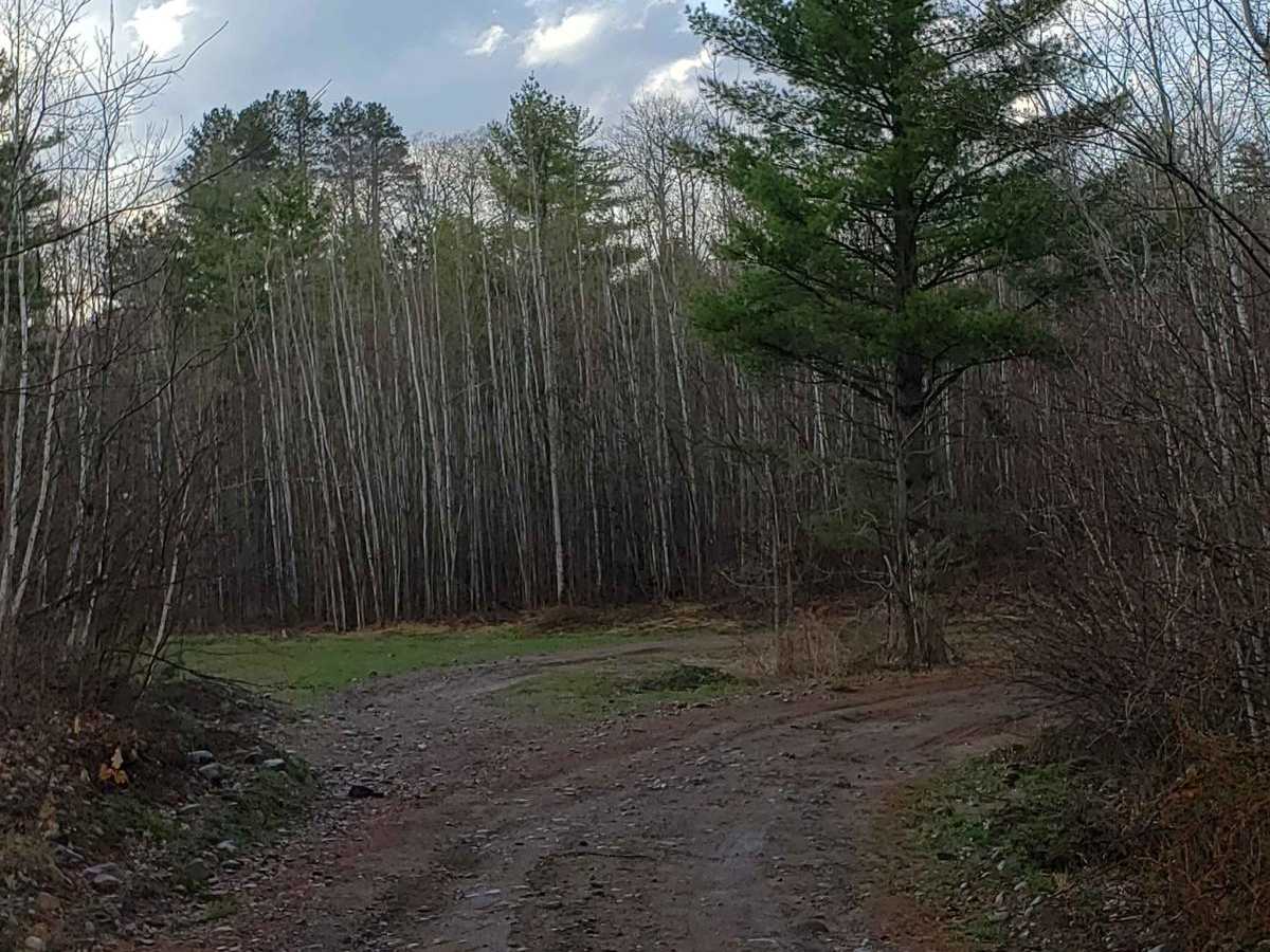 Trail 31 Segment 2 photo 6