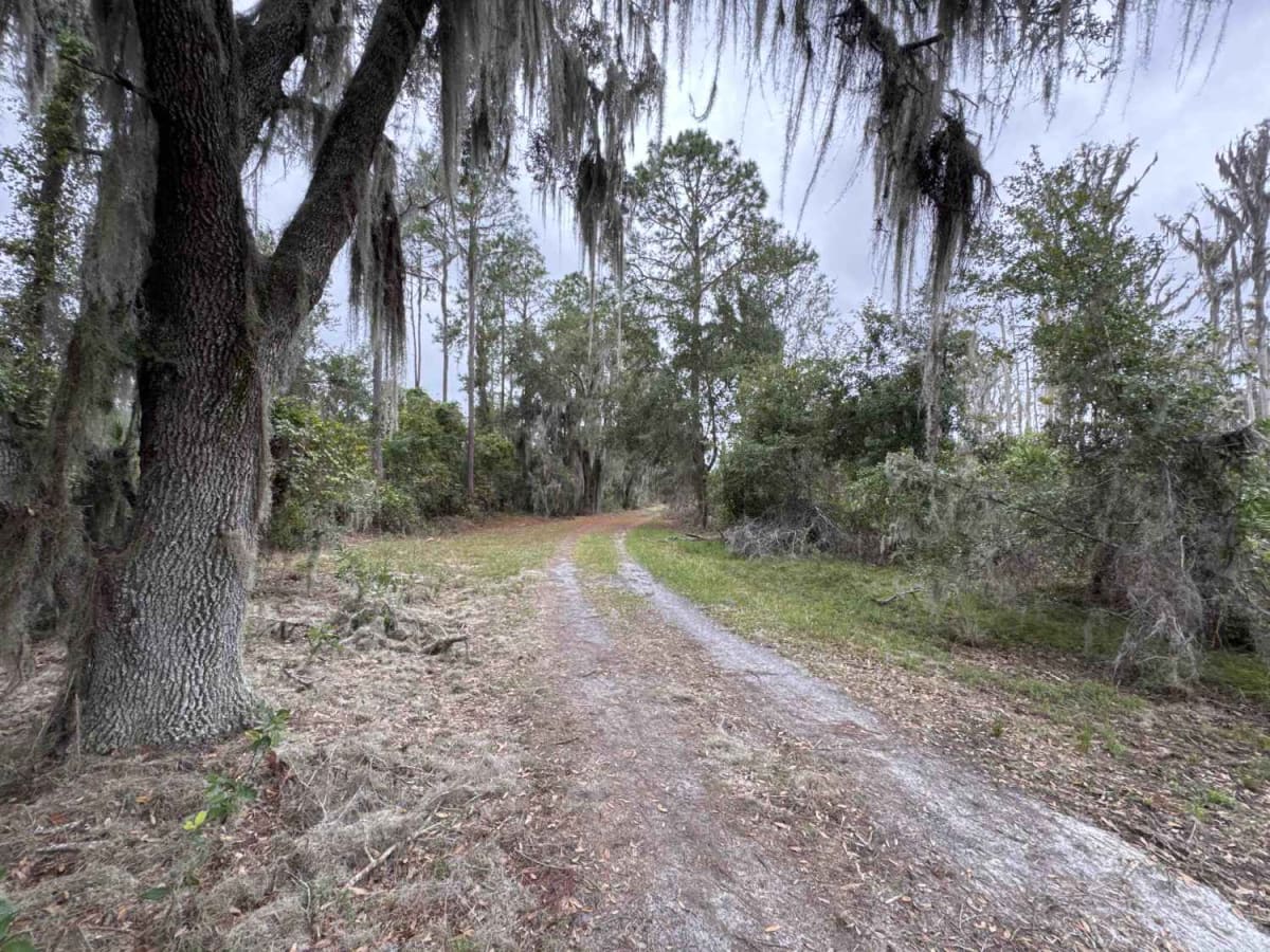 Burnt Island Loop photo 2