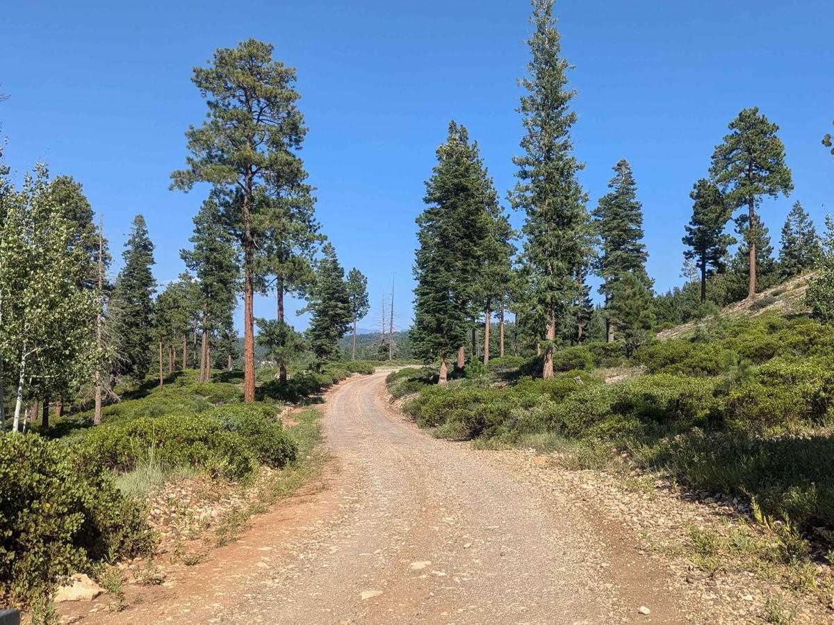 Stout Canyon Road photo 3