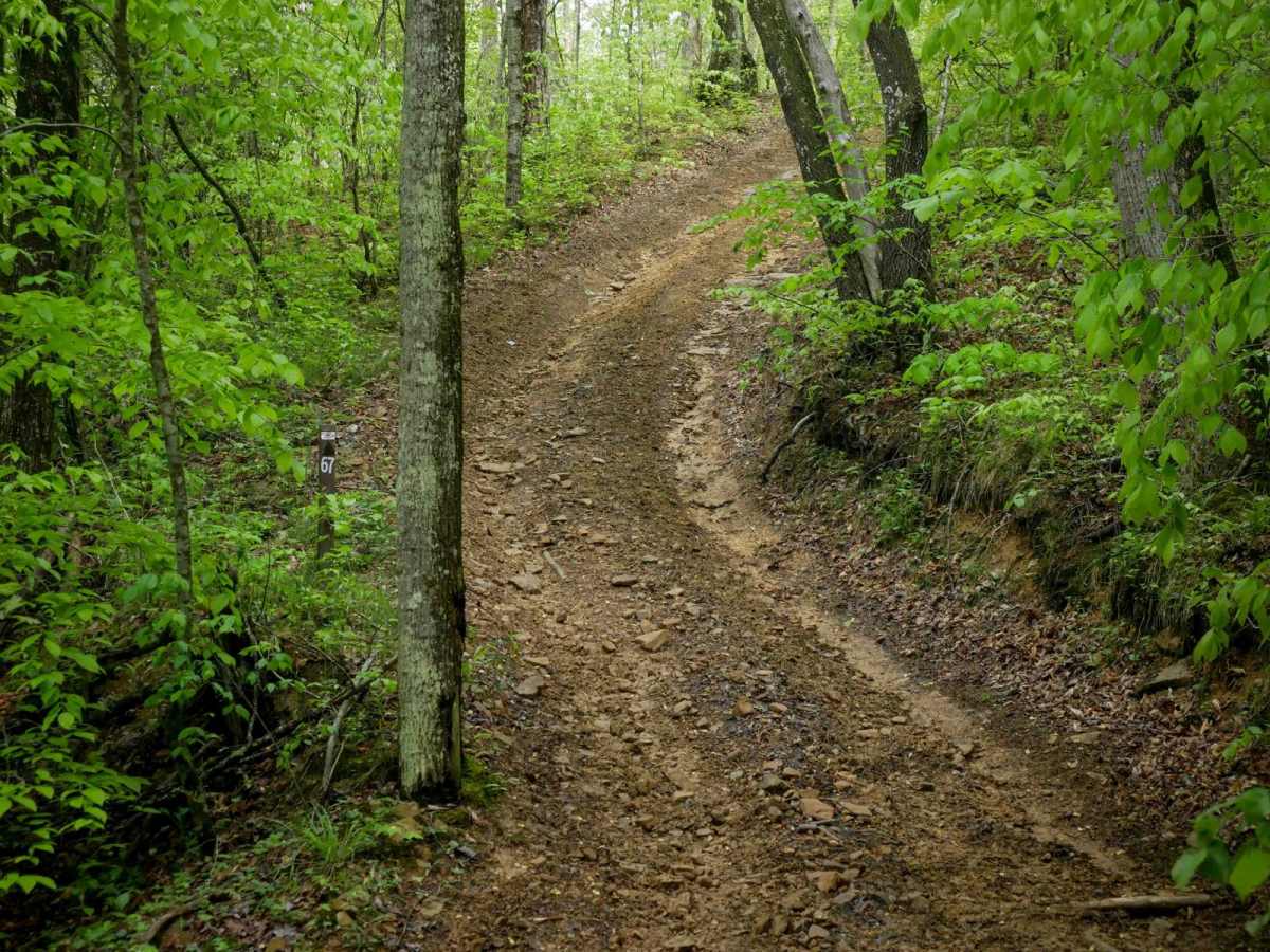 OP 67 trail photo