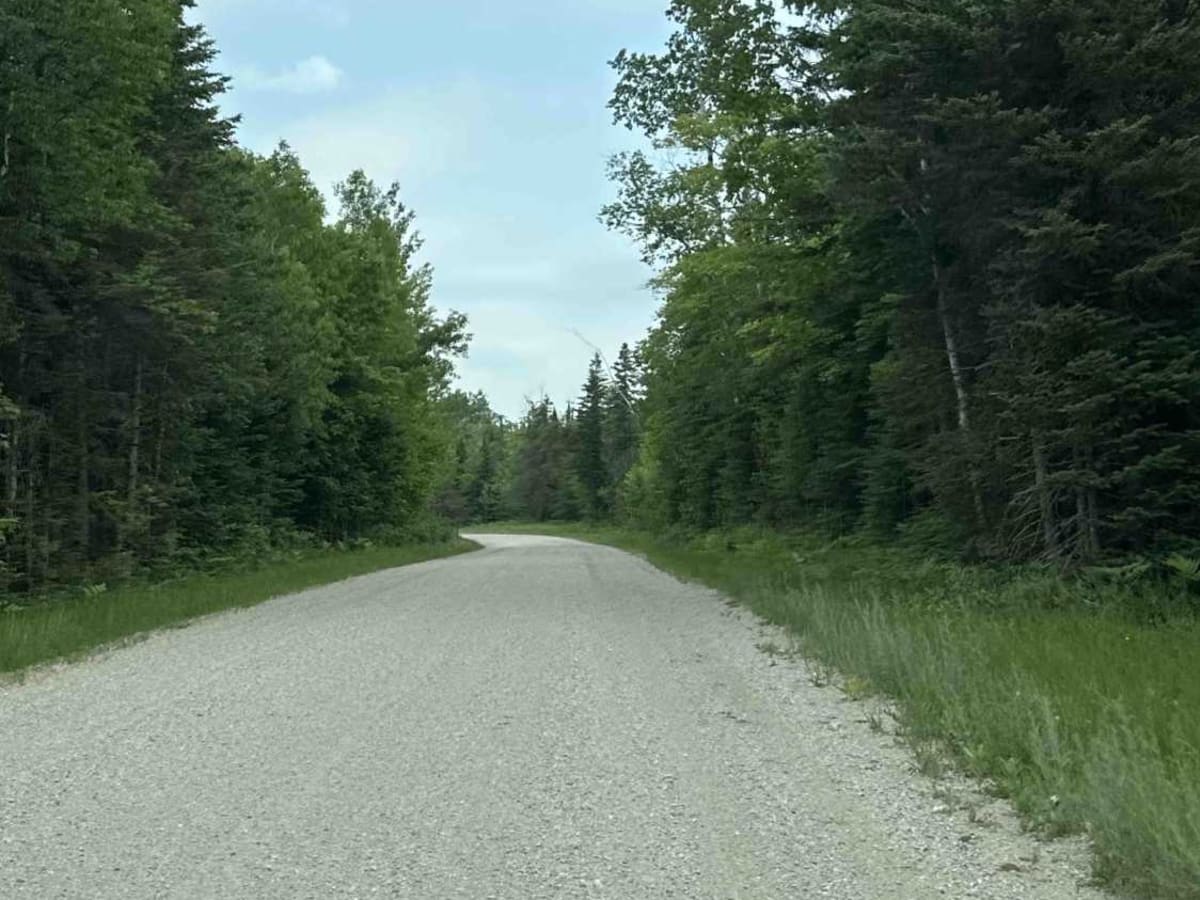 FS 3139 (Dick Rd.) photo 5
