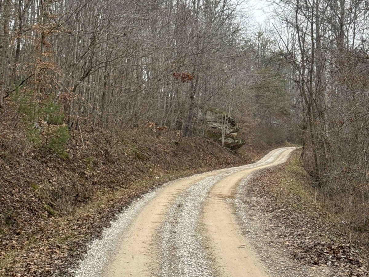 Tussey Hill Road photo 4