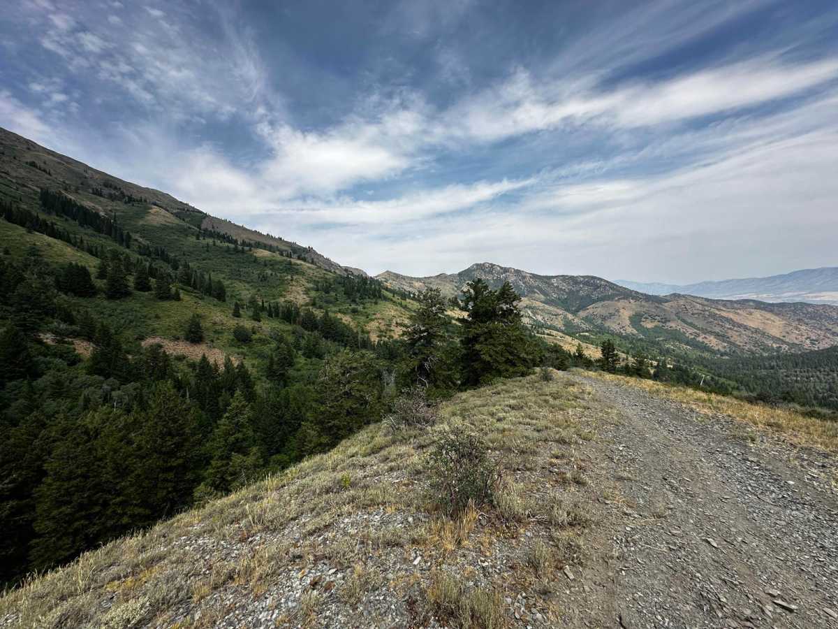 Goodenough - Bell Marsh Creek photo 5