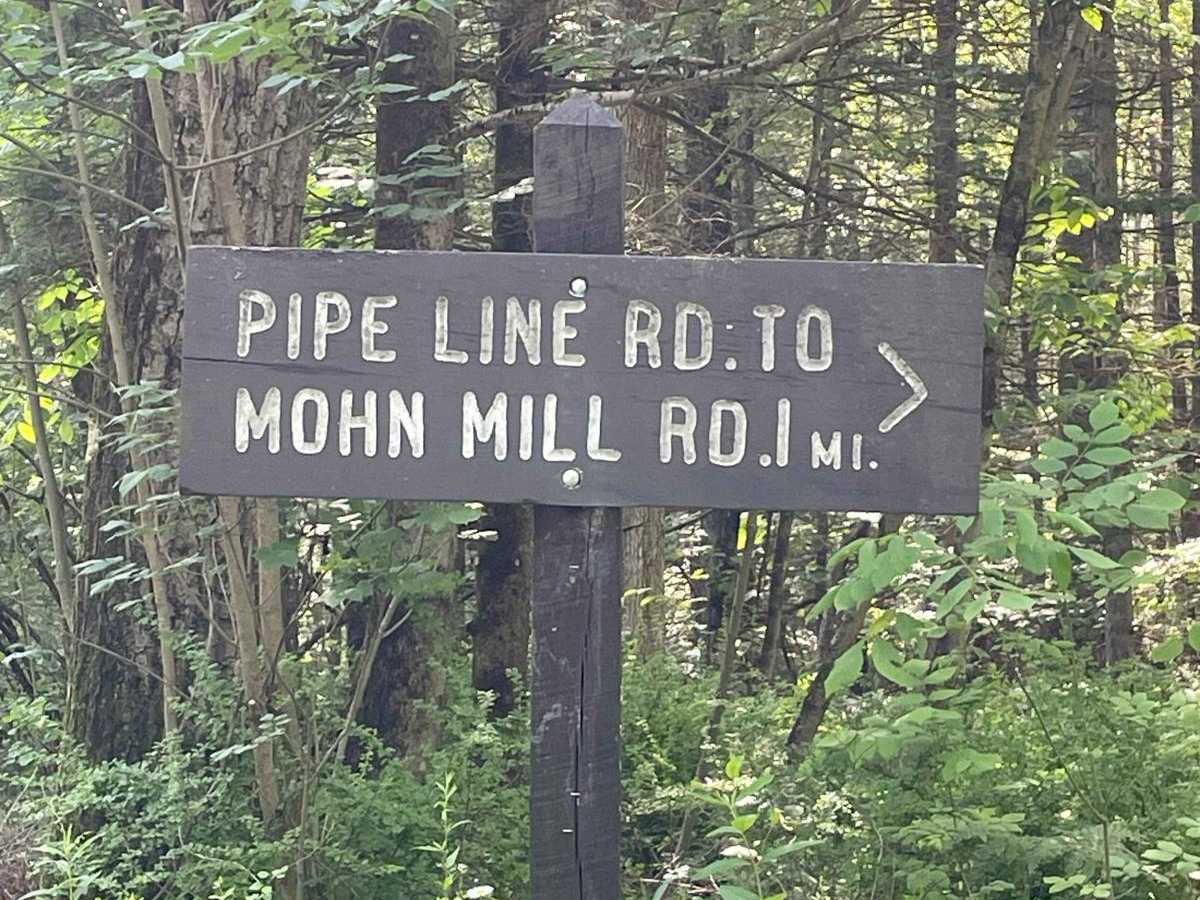 Pipeline Line Road trail photo