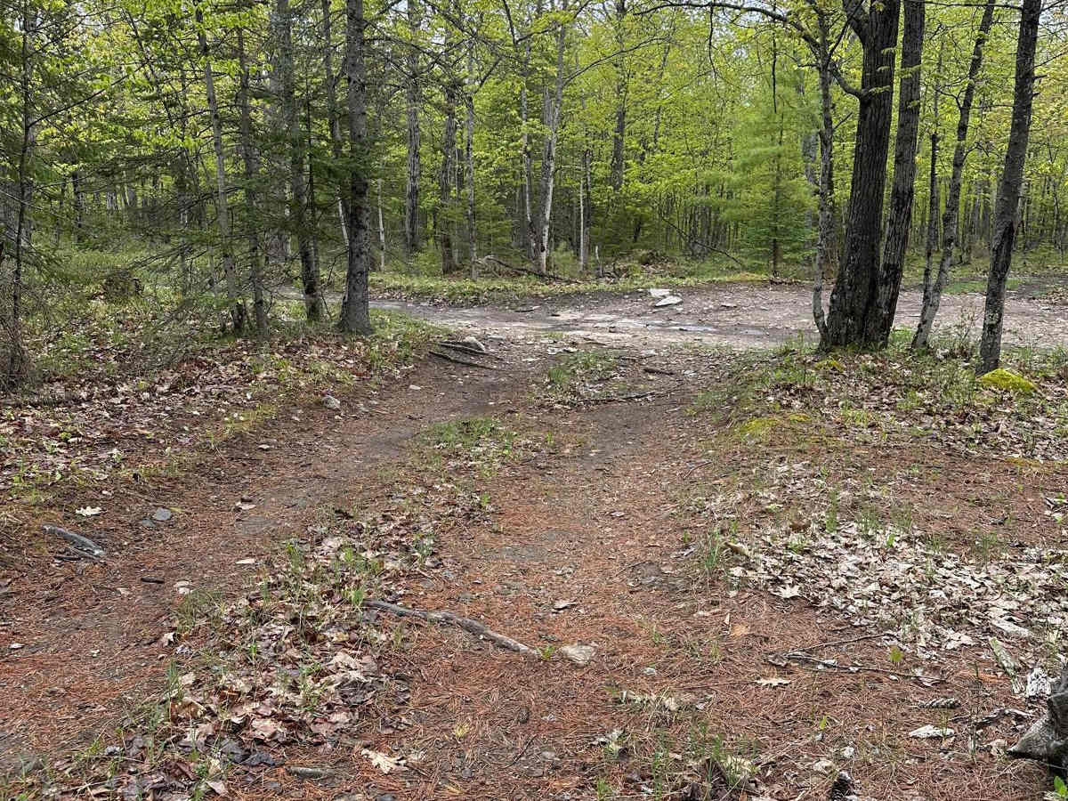 Stage Left B trail photo