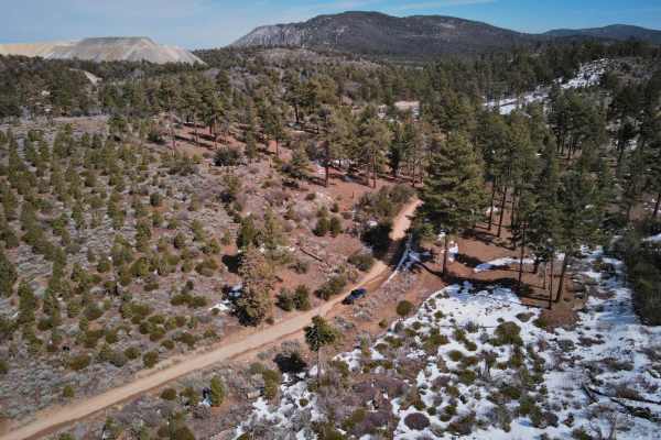 Holcomb Valley - 3N16