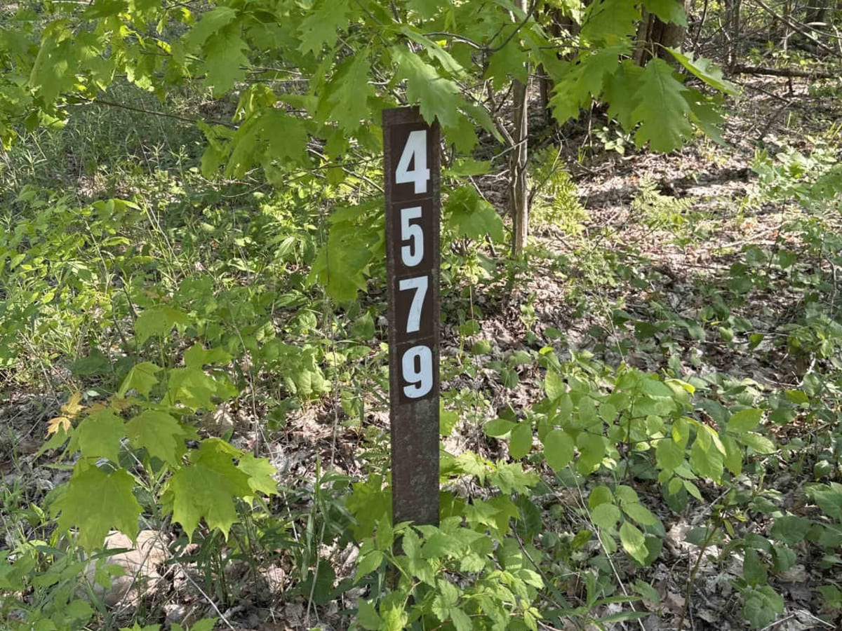 FS 4579 trail photo